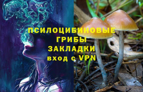 ГАЛЛЮЦИНОГЕННЫЕ ГРИБЫ Алексеевка