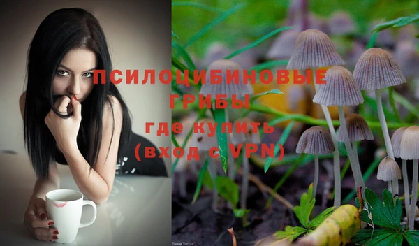 ГАЛЛЮЦИНОГЕННЫЕ ГРИБЫ Алексеевка