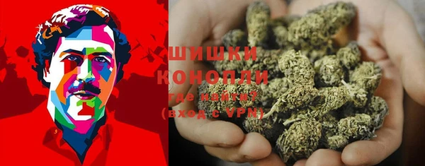 ПСИЛОЦИБИНОВЫЕ ГРИБЫ Снежногорск